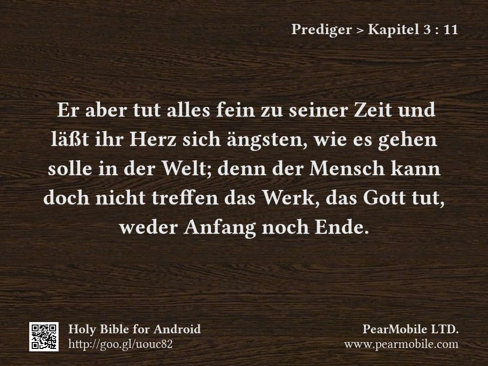 Prediger, Kapitel 3:11